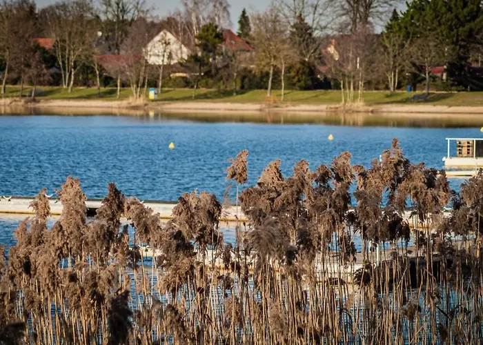 Lucie Kiebitzsee بيت للعطل Falkenburg